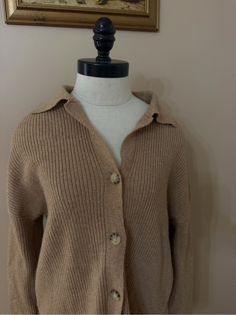 Ribbed Button-Front Cardigan Sweater in Camel